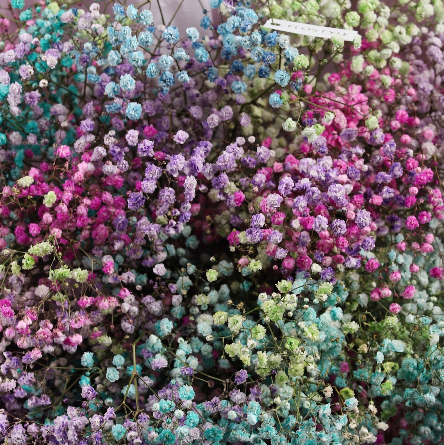 buket gipsofily 15 sht 7